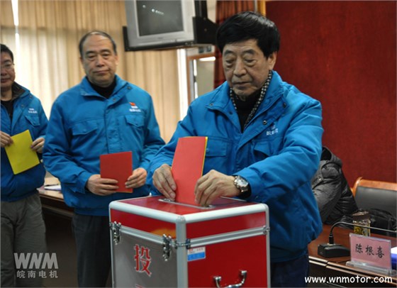 皖南電機(jī)陳根喜、管兵在投票現(xiàn)場(chǎng)