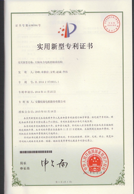 皖南電機：大軸向力電機的軸承結(jié)構|電機專利|電動機